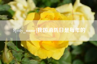 永康我国消防日是每年的