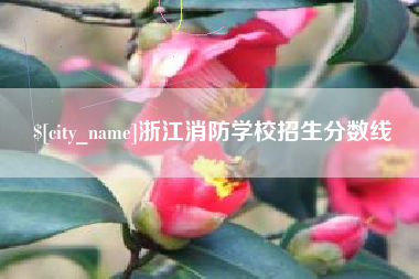 永康浙江消防学校招生分数线