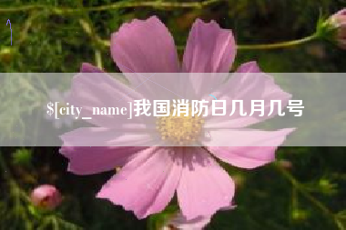 永康我国消防日几月几号