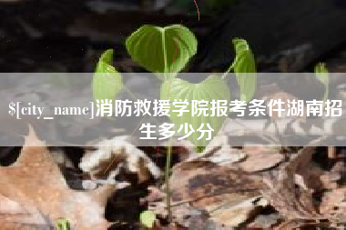 永康消防救援学院报考条件湖南招生多少分