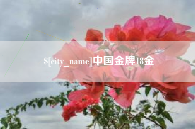 永康中国金牌18金
