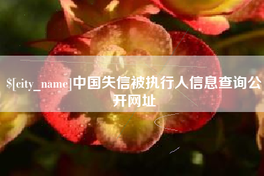 永康中国失信被执行人信息查询公开网址