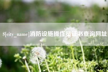 永康消防设施操作员证书查询网址