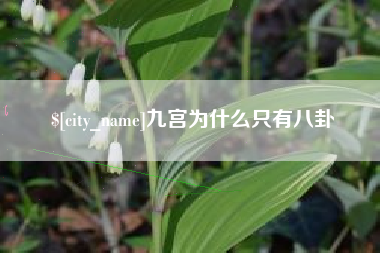 永康九宫为什么只有八卦