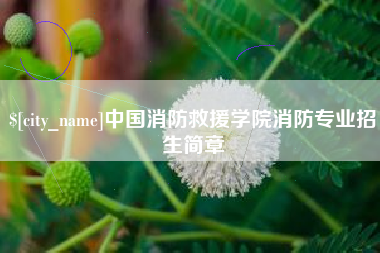 永康中国消防救援学院消防专业招生简章