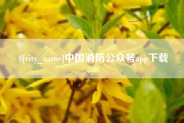永康中国消防公众号app下载