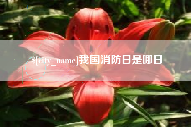永康我国消防日是哪日