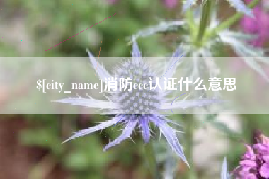 永康消防ccc认证什么意思