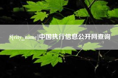 永康中国执行信息公开网查询