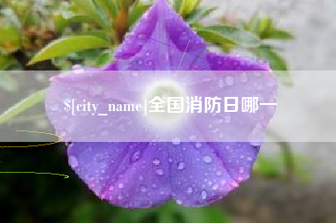 永康全国消防日哪一