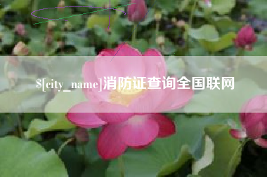 永康消防证查询全国联网