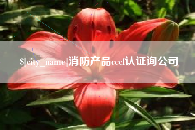 永康消防产品cccf认证询公司