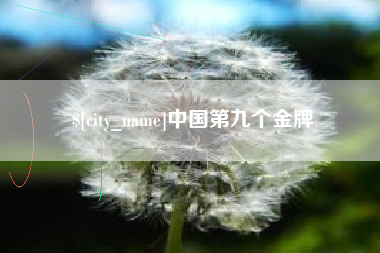 永康中国第九个金牌