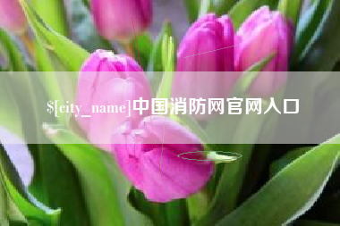 永康中国消防网官网入口