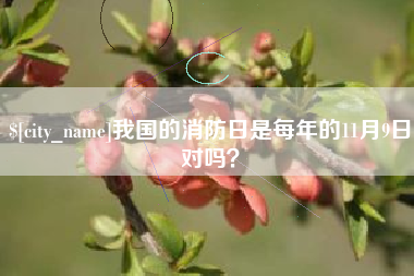 永康我国的消防日是每年的11月9日对吗？