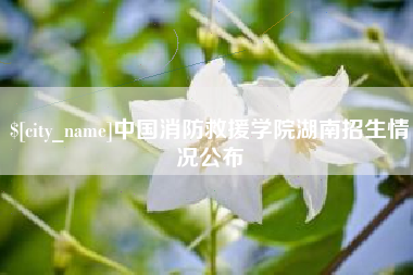 永康中国消防救援学院湖南招生情况公布