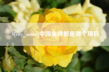 永康中国金牌都是哪个项目