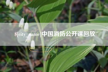 永康中国消防公开课回放