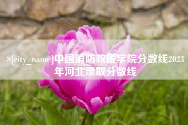 永康中国消防救援学院分数线2023年河北录取分数线