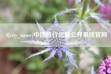 永康中国执行信息公开系统官网