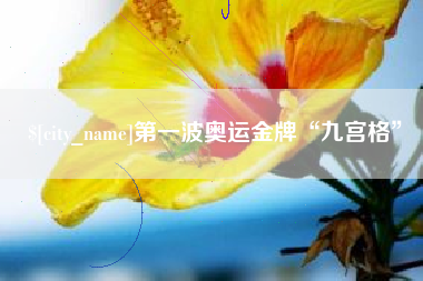 永康第一波奥运金牌“九宫格”
