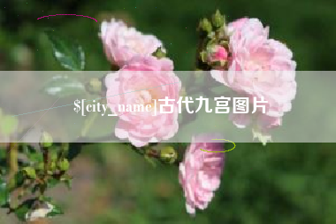 永康古代九宫图片