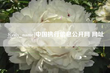 永康中国执行信息公开网 网址