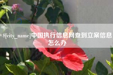 永康中国执行信息网查到立案信息怎么办