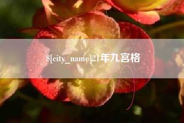 永康21年九宫格