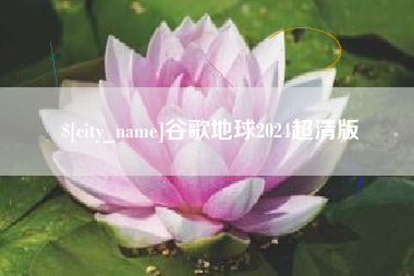 永康谷歌地球2024超清版