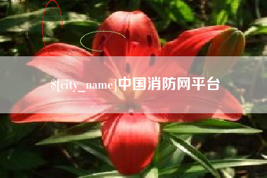 永康中国消防网平台