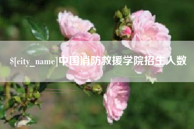 永康中国消防救援学院招生人数