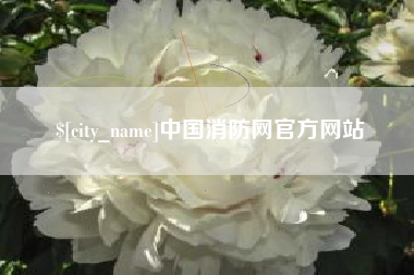 永康中国消防网官方网站