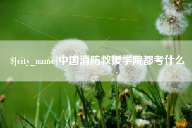 永康中国消防救援学院都考什么