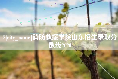 永康消防救援学院山东招生录取分数线2020