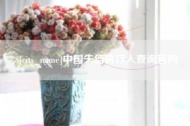 永康中国失信执行人查询官网