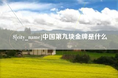永康中国第九块金牌是什么
