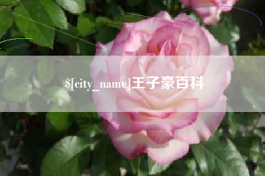 永康王子豪百科