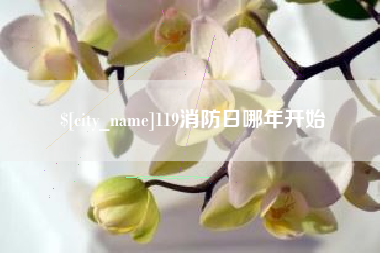 永康119消防日哪年开始