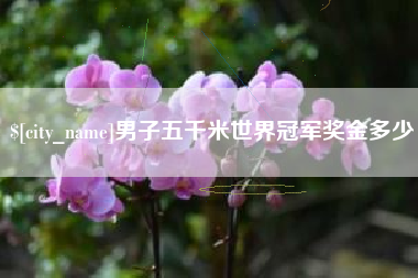 永康男子五千米世界冠军奖金多少