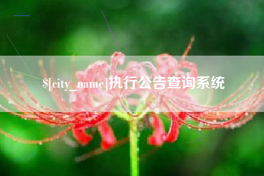 永康执行公告查询系统