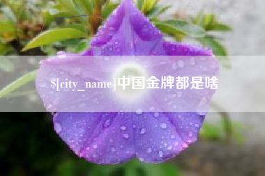 永康中国金牌都是啥