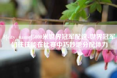 永康5000米世界冠军配速-世界冠军们往往能在比赛中巧妙地分配体力