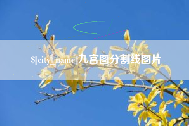 永康九宫图分割线图片