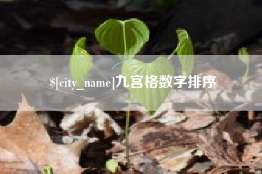 永康九宫格数字排序