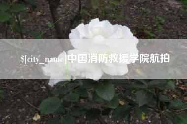 永康中国消防救援学院航拍
