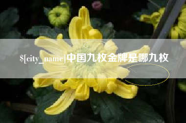 永康中国九枚金牌是哪九枚