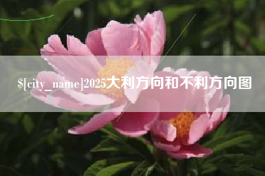 永康2025大利方向和不利方向图