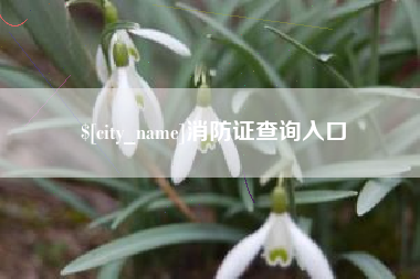 永康消防证查询入口