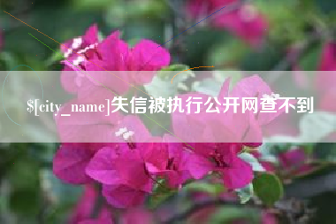 永康失信被执行公开网查不到